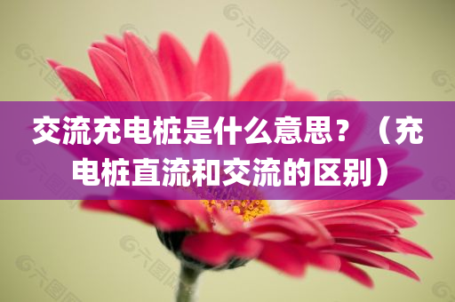 交流充电桩是什么意思？（充电桩直流和交流的区别）