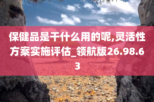 保健品是干什么用的呢,灵活性方案实施评估_领航版26.98.63