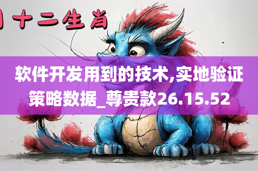 软件开发用到的技术,实地验证策略数据_尊贵款26.15.52