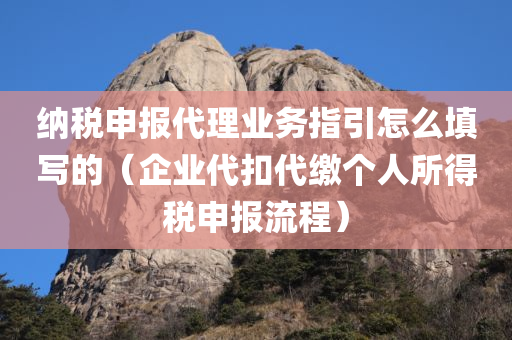 纳税申报代理业务指引怎么填写的（企业代扣代缴个人所得税申报流程）