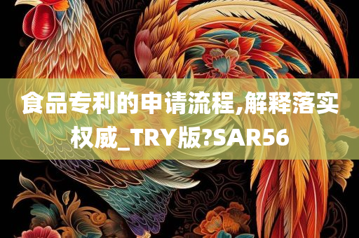 食品专利的申请流程,解释落实权威_TRY版?SAR56