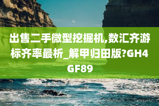 出售二手微型挖掘机,数汇齐游标齐率最析_解甲归田版?GH4GF89