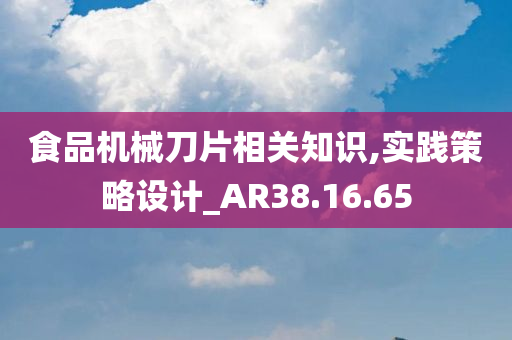 食品机械刀片相关知识,实践策略设计_AR38.16.65