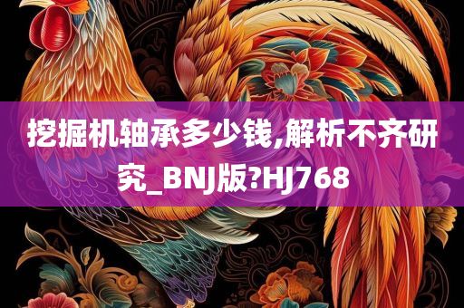 挖掘机轴承多少钱,解析不齐研究_BNJ版?HJ768