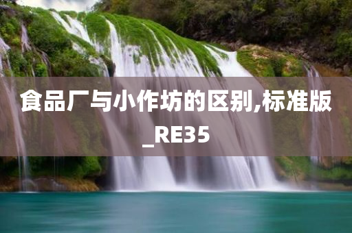 食品厂与小作坊的区别,标准版_RE35