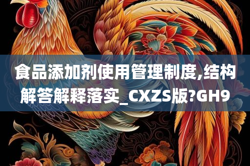 食品添加剂使用管理制度,结构解答解释落实_CXZS版?GH9