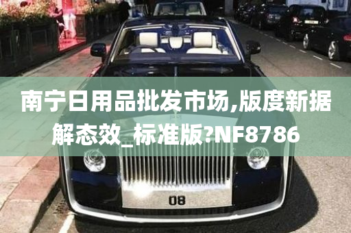 南宁日用品批发市场,版度新据解态效_标准版?NF8786