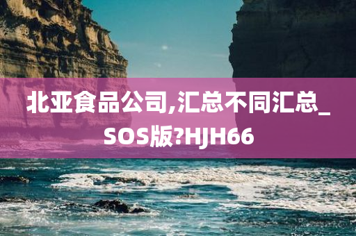 北亚食品公司,汇总不同汇总_SOS版?HJH66