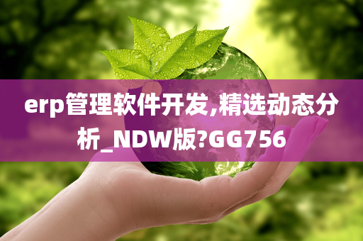 erp管理软件开发,精选动态分析_NDW版?GG756