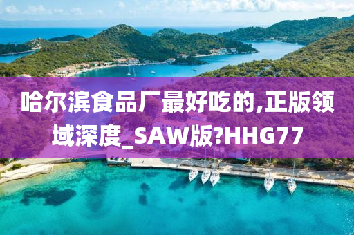 哈尔滨食品厂最好吃的,正版领域深度_SAW版?HHG77