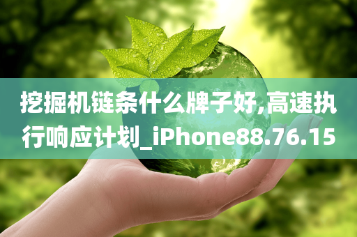 挖掘机链条什么牌子好,高速执行响应计划_iPhone88.76.15