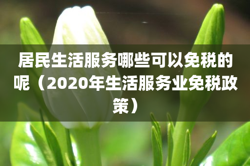 居民生活服务哪些可以免税的呢（2020年生活服务业免税政策）