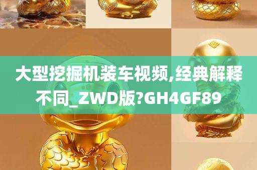 大型挖掘机装车视频,经典解释不同_ZWD版?GH4GF89