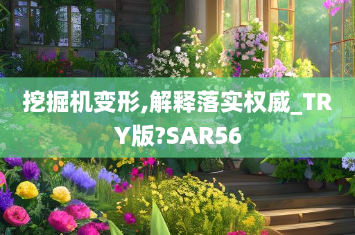 挖掘机变形,解释落实权威_TRY版?SAR56