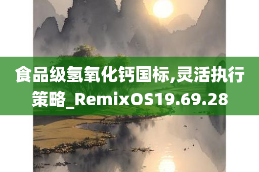 食品级氢氧化钙国标,灵活执行策略_RemixOS19.69.28