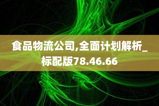 食品物流公司,全面计划解析_标配版78.46.66