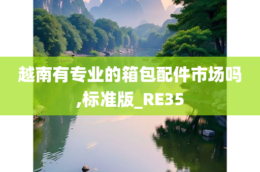 越南有专业的箱包配件市场吗,标准版_RE35