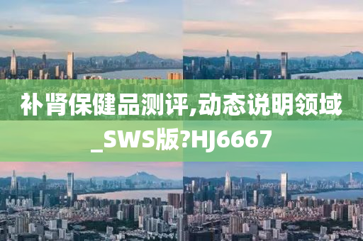 补肾保健品测评,动态说明领域_SWS版?HJ6667