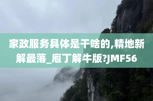 家政服务具体是干啥的,精地新解最落_庖丁解牛版?JMF56