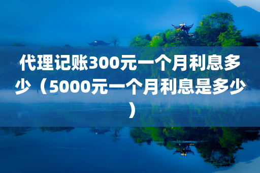 代理记账300元一个月利息多少（5000元一个月利息是多少）