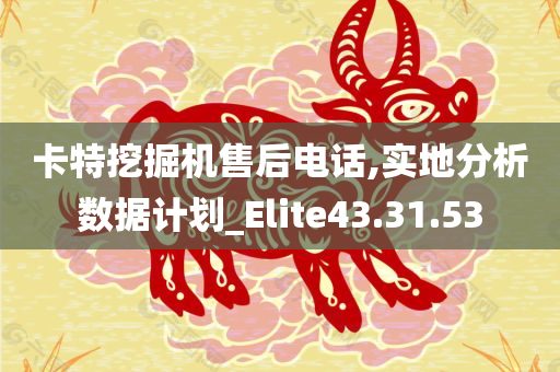 卡特挖掘机售后电话,实地分析数据计划_Elite43.31.53