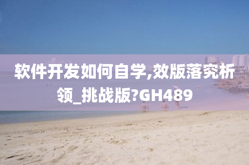 软件开发如何自学,效版落究析领_挑战版?GH489