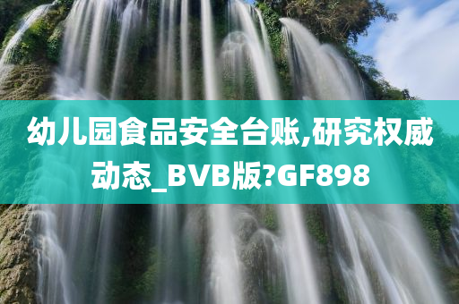 幼儿园食品安全台账,研究权威动态_BVB版?GF898