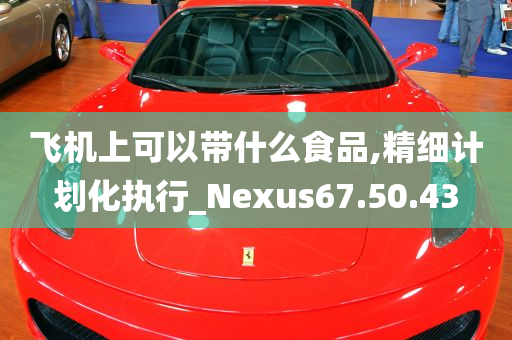 飞机上可以带什么食品,精细计划化执行_Nexus67.50.43