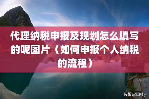 代理纳税申报及规划怎么填写的呢图片（如何申报个人纳税的流程）