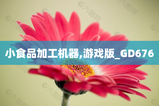 小食品加工机器,游戏版_GD676