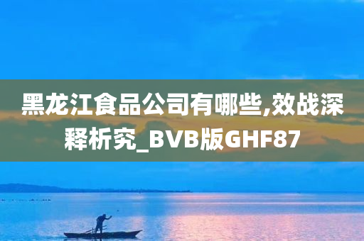 黑龙江食品公司有哪些,效战深释析究_BVB版GHF87