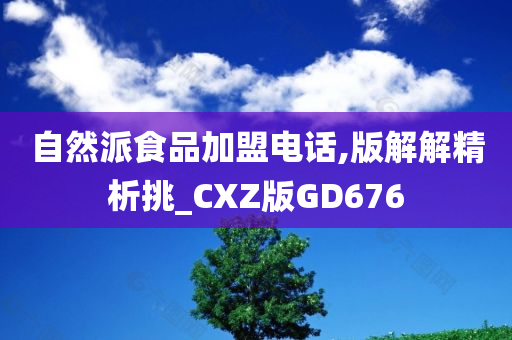 自然派食品加盟电话,版解解精析挑_CXZ版GD676