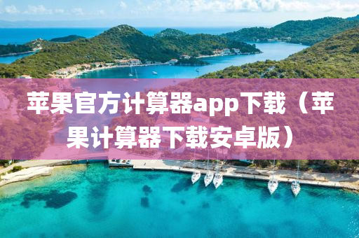 苹果官方计算器app下载（苹果计算器下载安卓版）