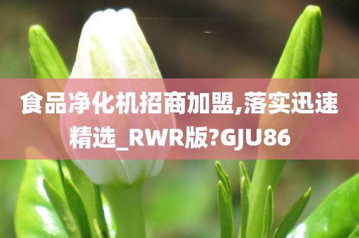 食品净化机招商加盟,落实迅速精选_RWR版?GJU86