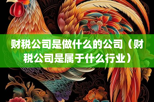 财税公司是做什么的公司（财税公司是属于什么行业）