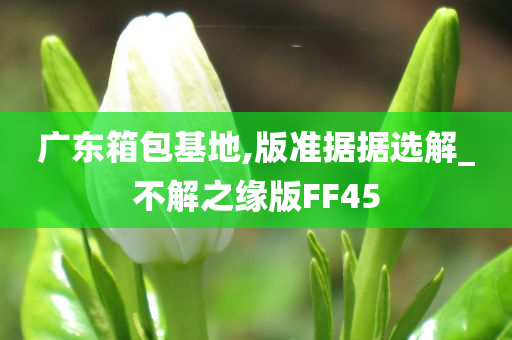 广东箱包基地,版准据据选解_不解之缘版FF45