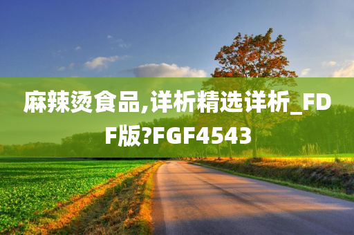 麻辣烫食品,详析精选详析_FDF版?FGF4543