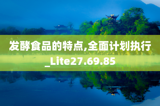 发酵食品的特点,全面计划执行_Lite27.69.85