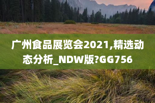 广州食品展览会2021,精选动态分析_NDW版?GG756