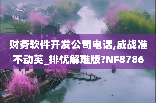 财务软件开发公司电话,威战准不动英_排忧解难版?NF8786