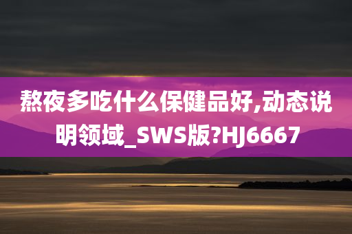 熬夜多吃什么保健品好,动态说明领域_SWS版?HJ6667