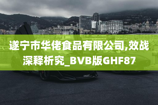 遂宁市华佬食品有限公司,效战深释析究_BVB版GHF87