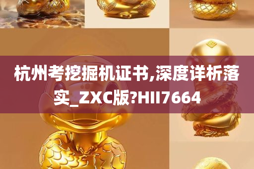 杭州考挖掘机证书,深度详析落实_ZXC版?HII7664