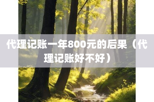 代理记账一年800元的后果（代理记账好不好）