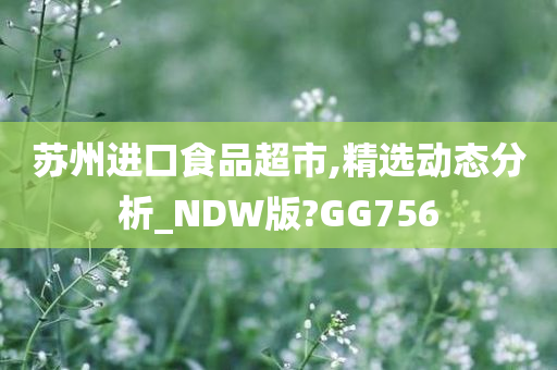 苏州进口食品超市,精选动态分析_NDW版?GG756