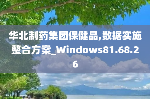 华北制药集团保健品,数据实施整合方案_Windows81.68.26