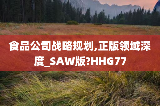 食品公司战略规划,正版领域深度_SAW版?HHG77