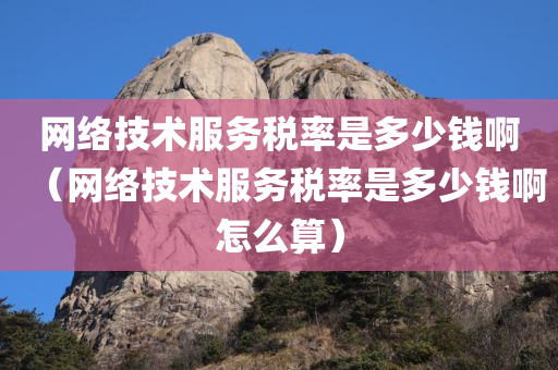 网络技术服务税率是多少钱啊（网络技术服务税率是多少钱啊怎么算）