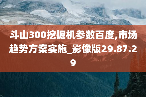 斗山300挖掘机参数百度,市场趋势方案实施_影像版29.87.29