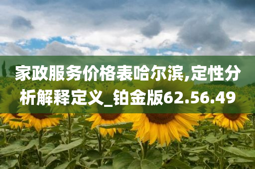 家政服务价格表哈尔滨,定性分析解释定义_铂金版62.56.49